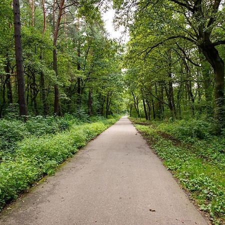 Apartmán Willa Debowa Niepołomice Exteriér fotografie